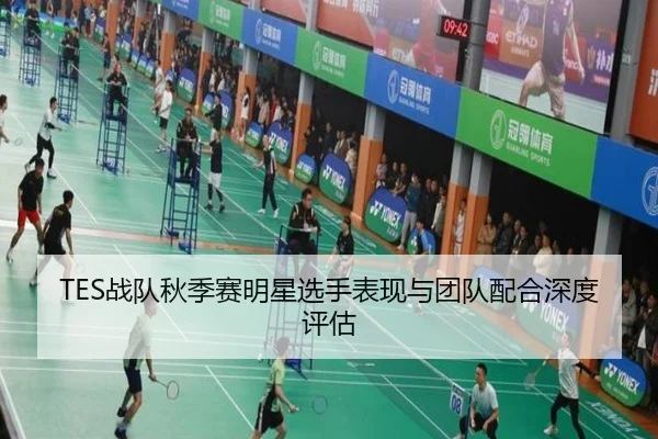 TES战队秋季赛明星选手表现与团队配合深度评估